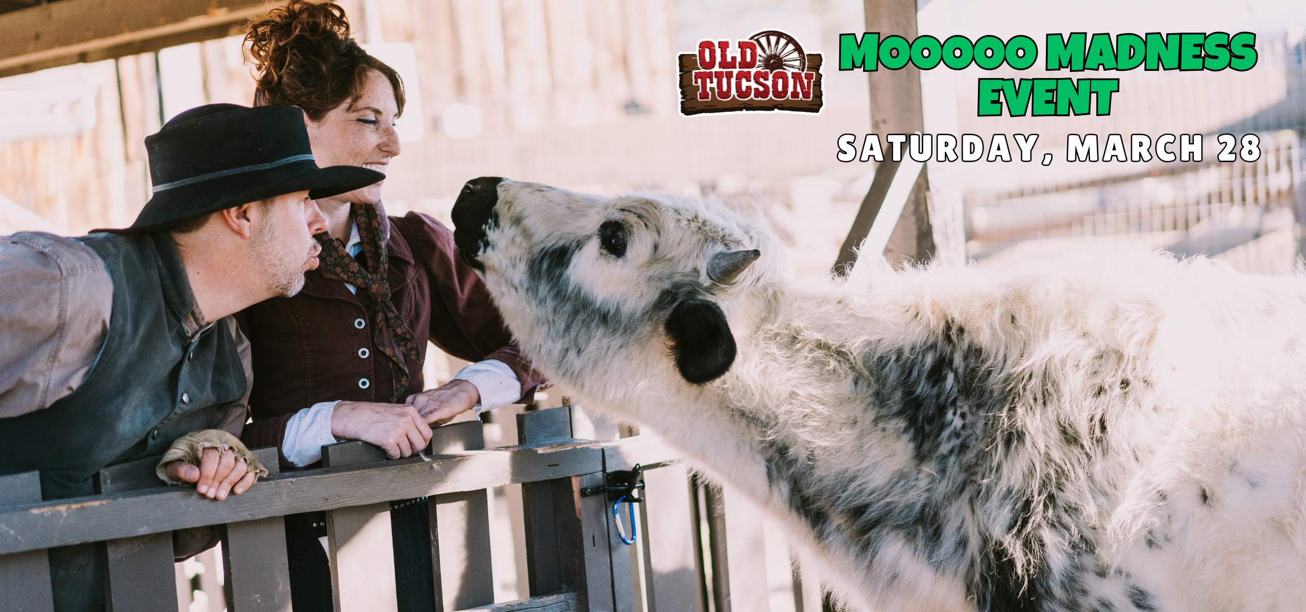 SLIDE 2560 x 1200 px 2 1