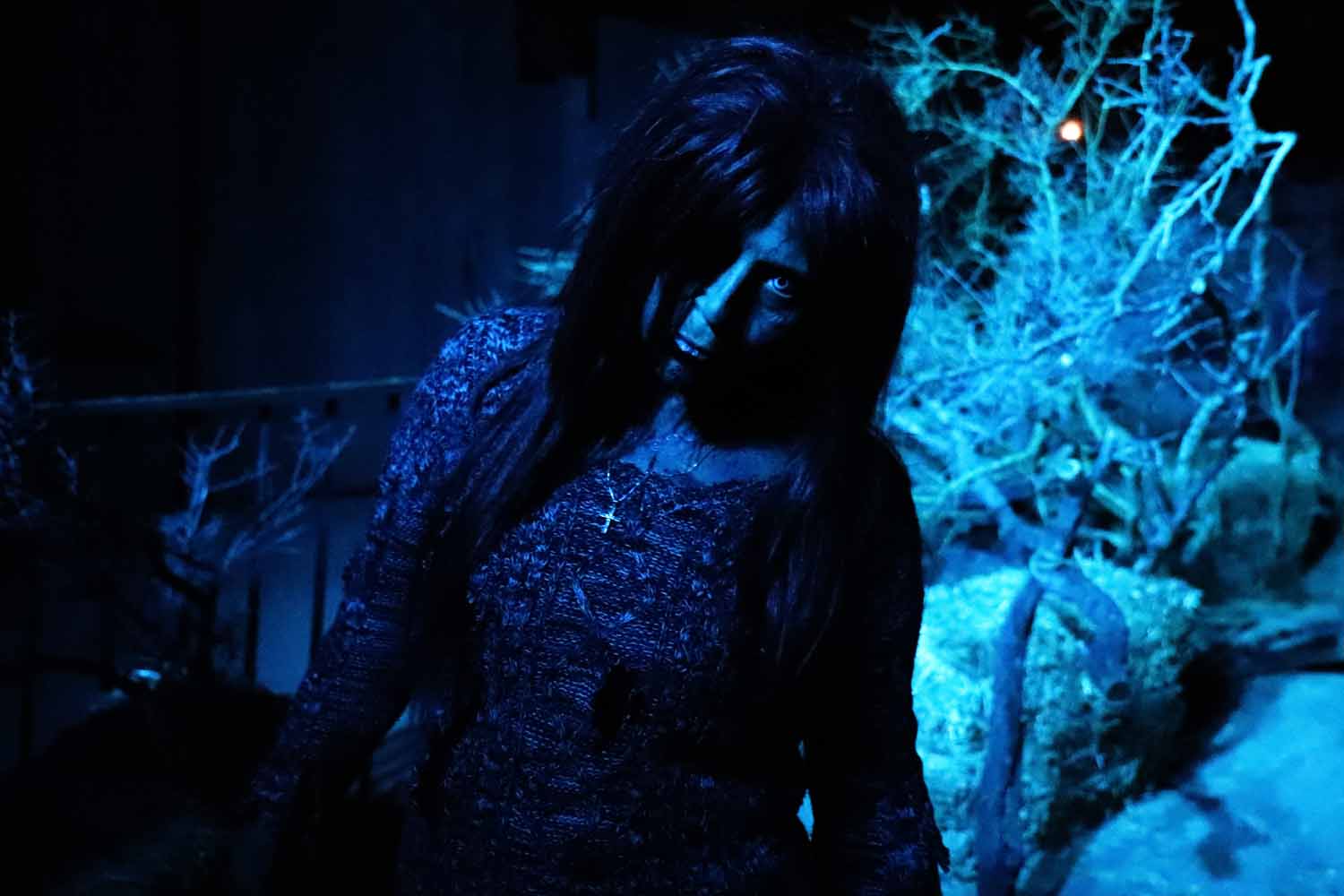 Official event image for Nightfall Early Scream