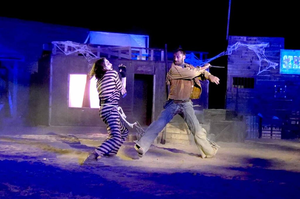 STUNT SHOWS 1